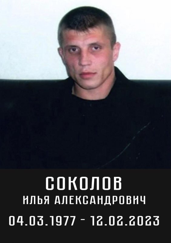 Соколов Илья Александрович